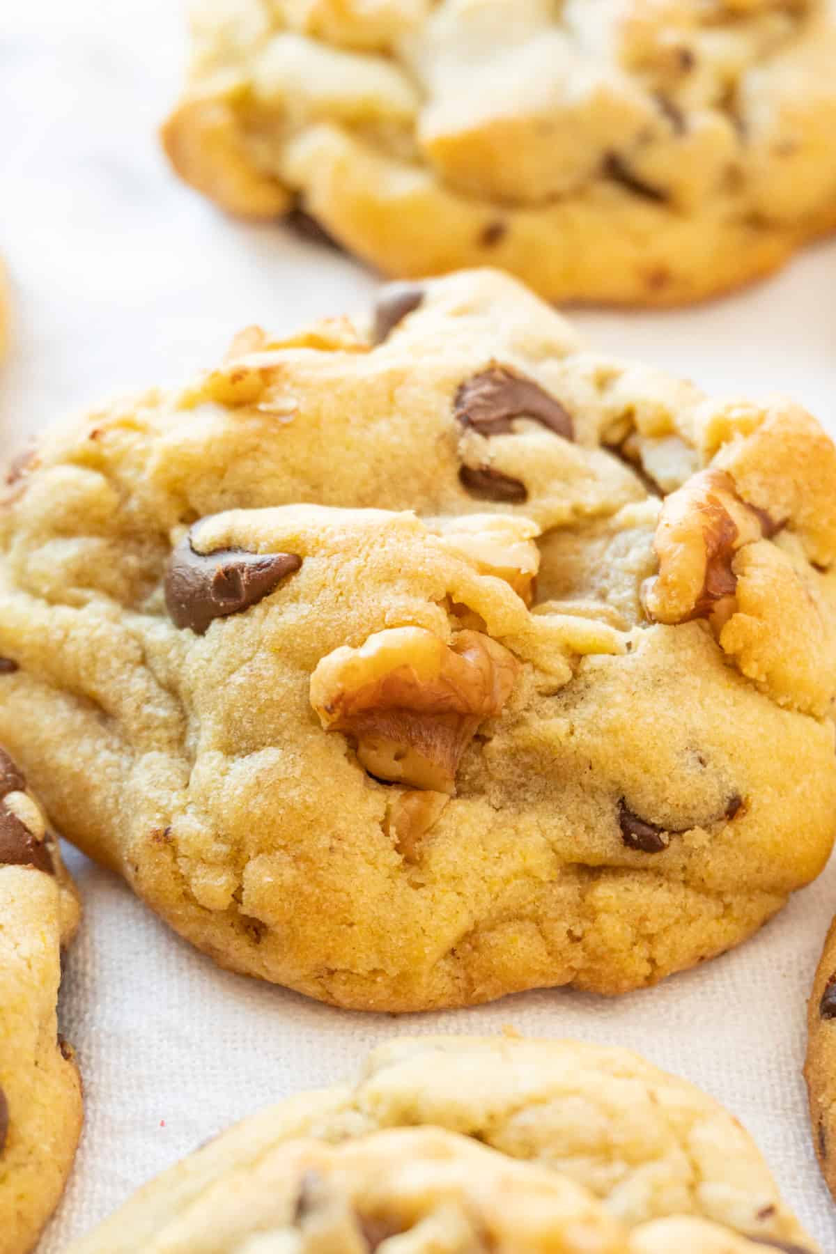 walnut chocolate chip cookie close up