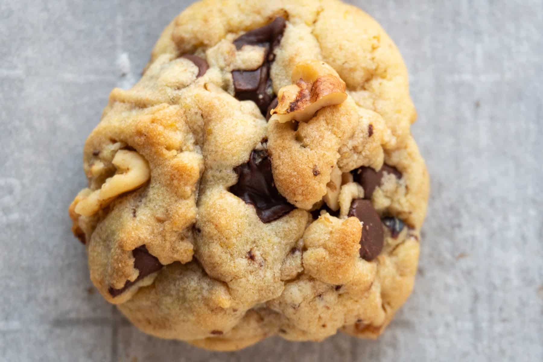 close up of walnut chocolate chip cookie horizontal image