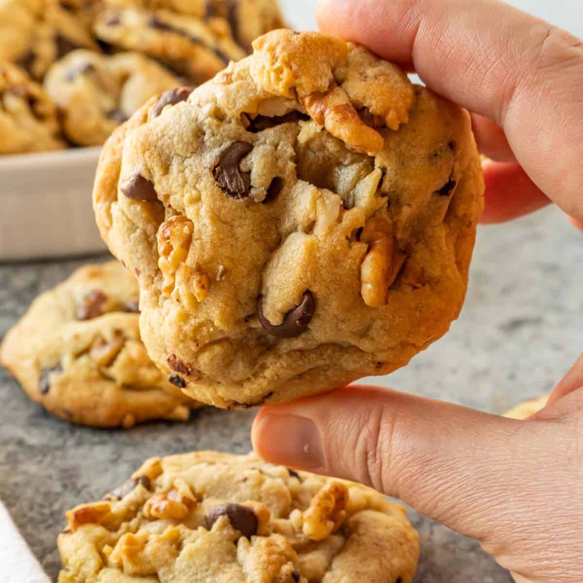 walnut chocolate chip cookie being held featured image