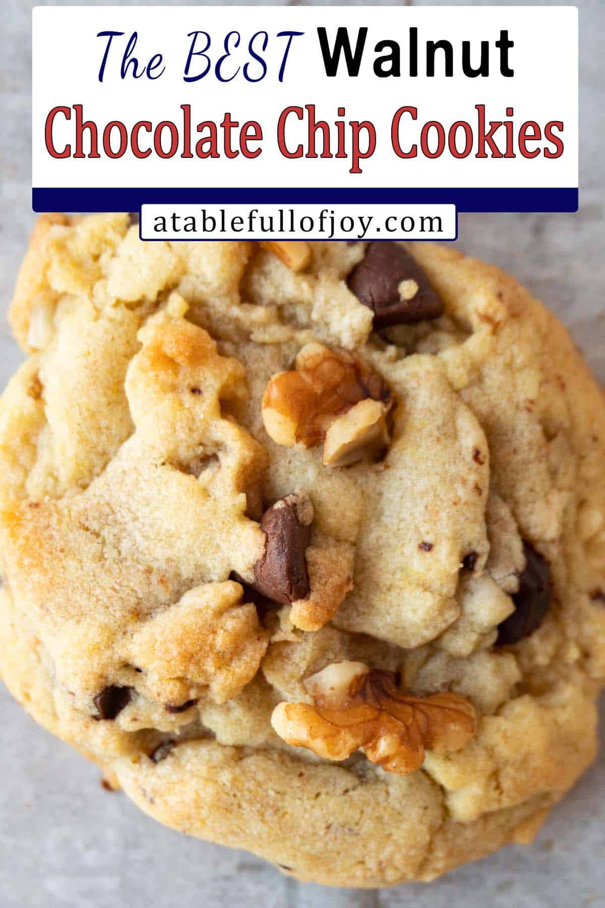 walnut chocolate chip cookie close up pinterest pin