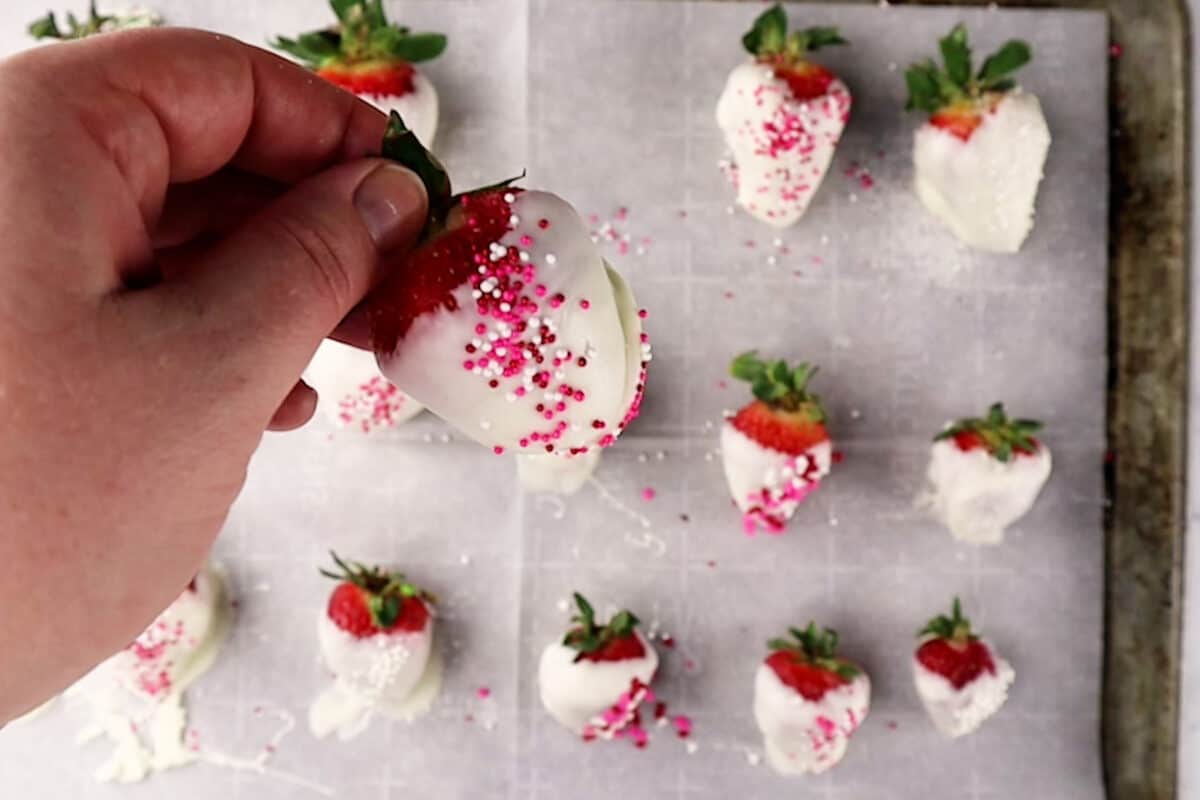 holding a dipped strawberry