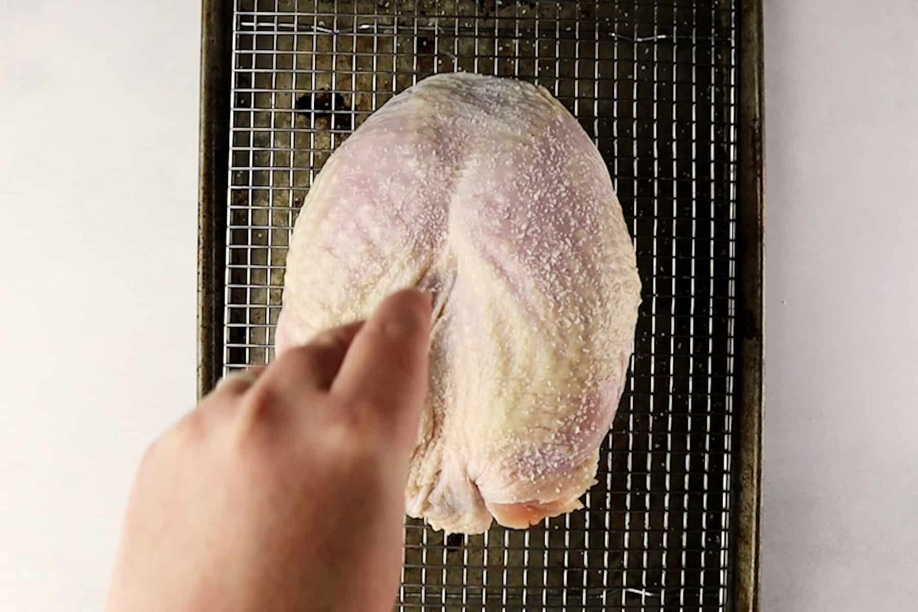 salting the turkey breast