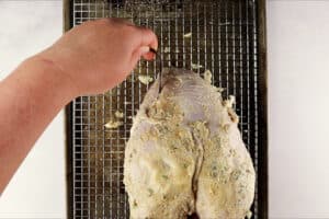 adding thermometer to turkey breast