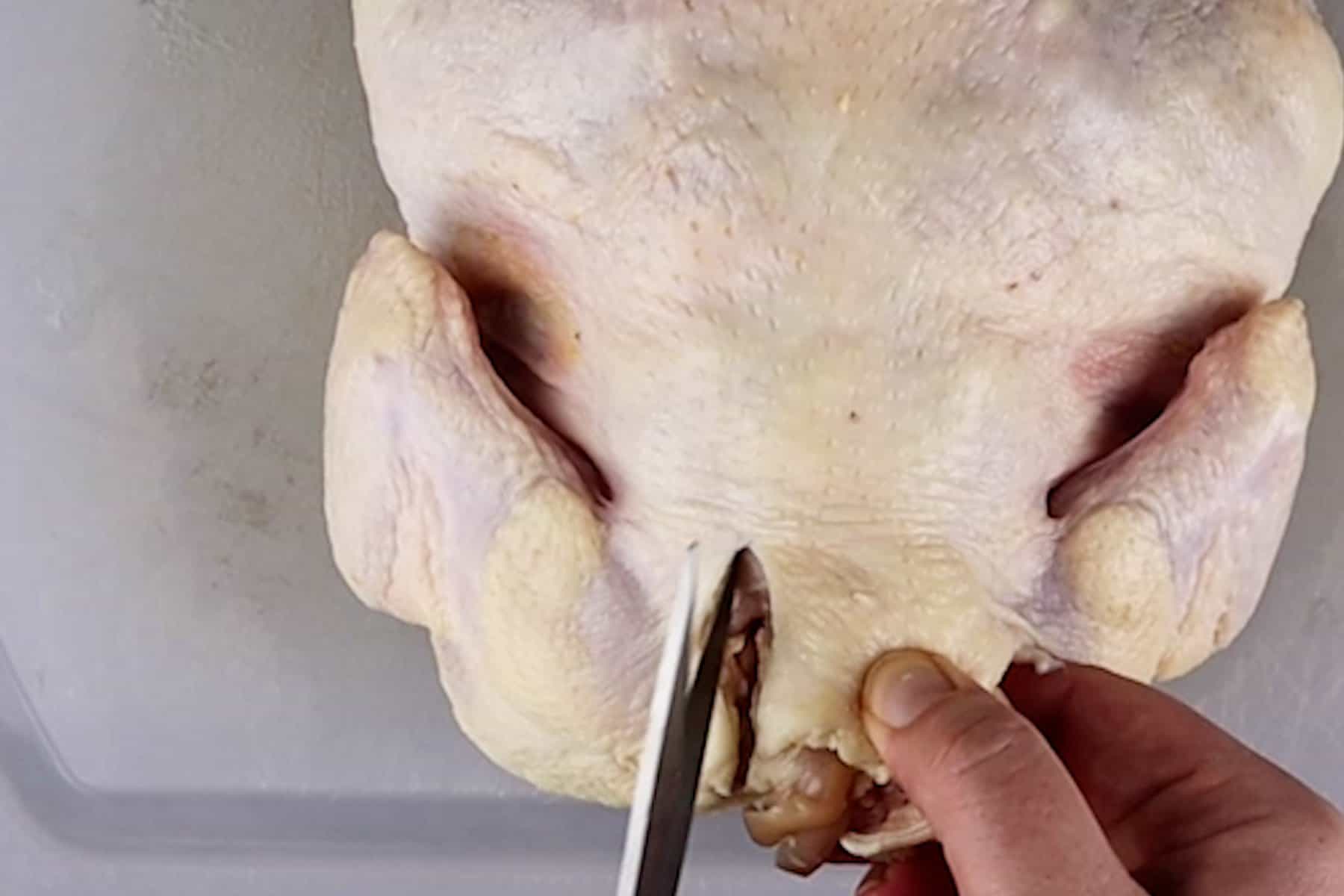begging to cut along spine at neck of chicken