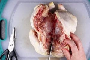 cutting through breast bone cartilage