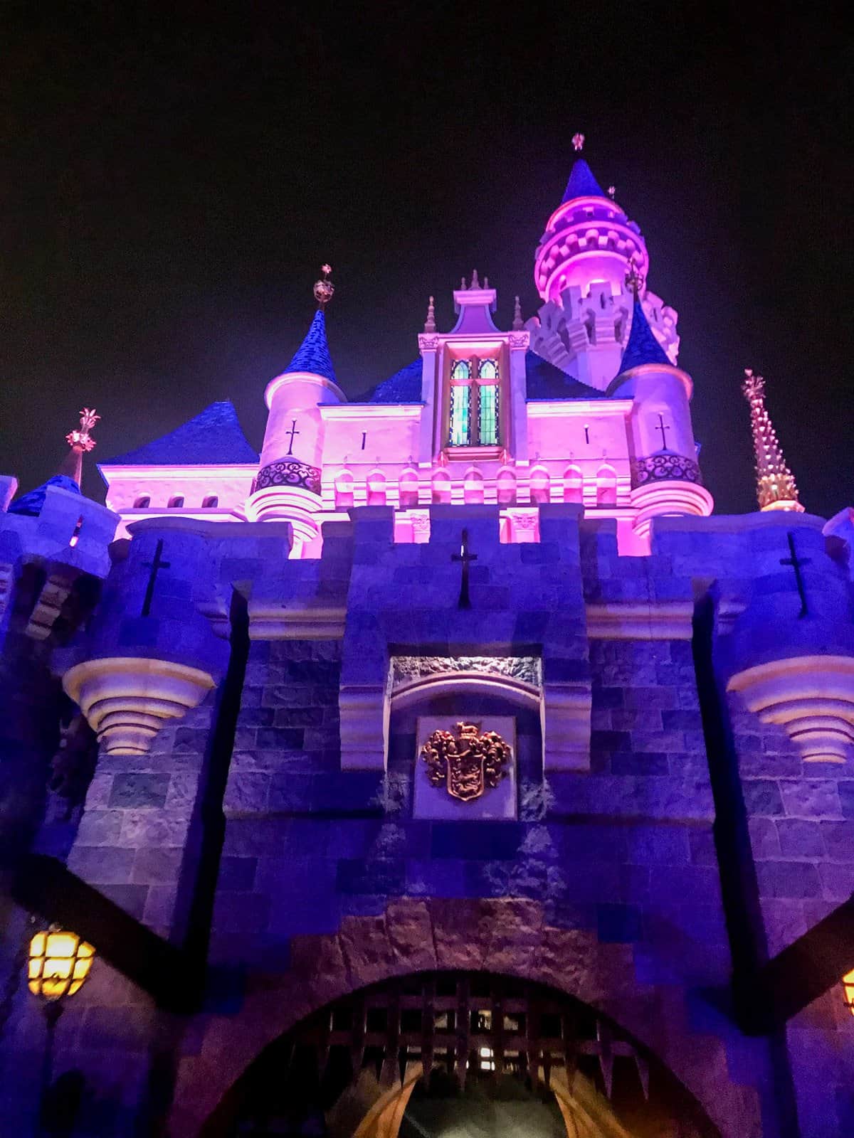 Disneyland Castle at night