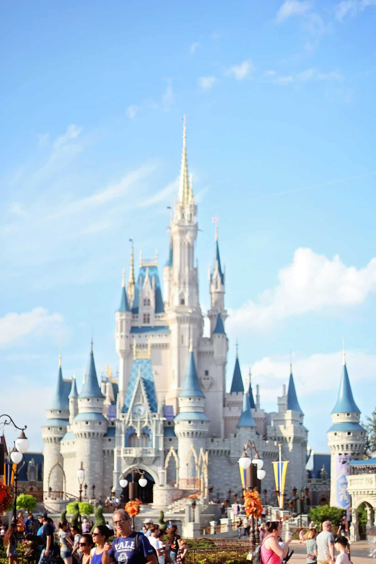 Magic Kingdom Castle