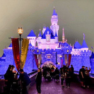 Disney castle at night featured image