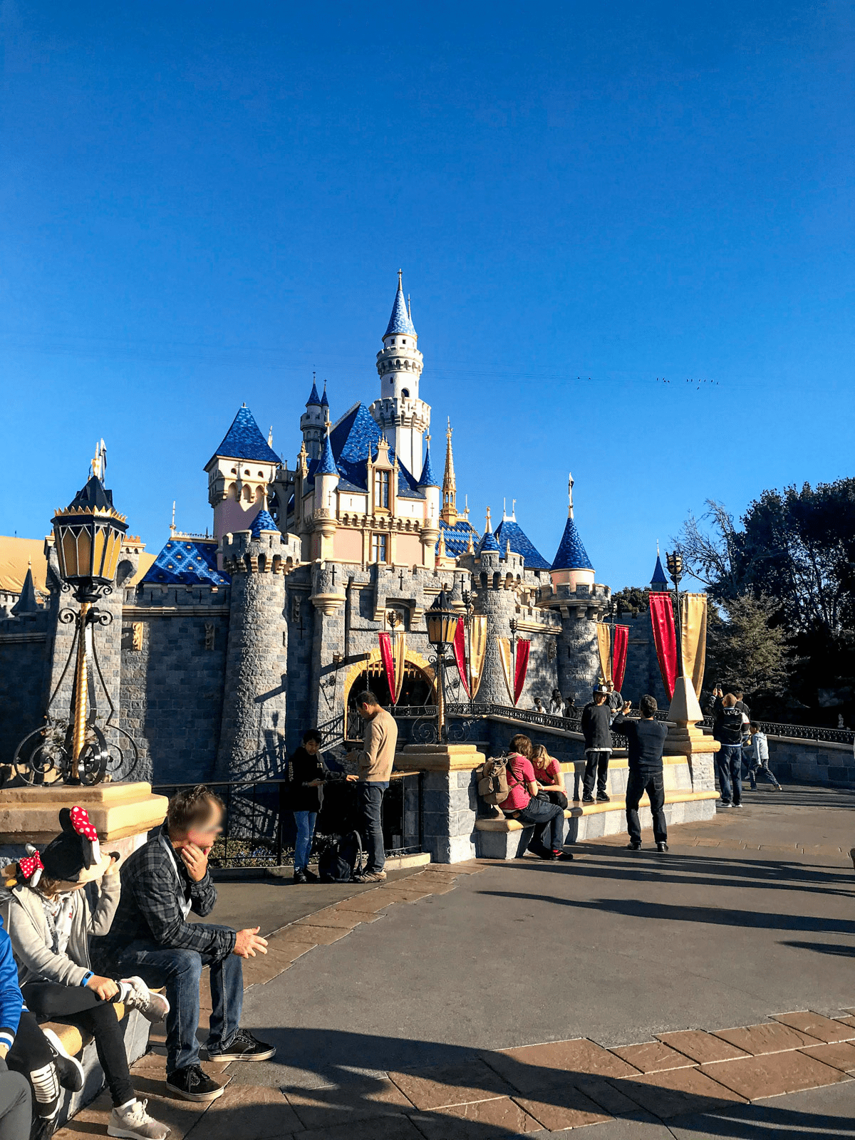 Disneyland Castle at day time