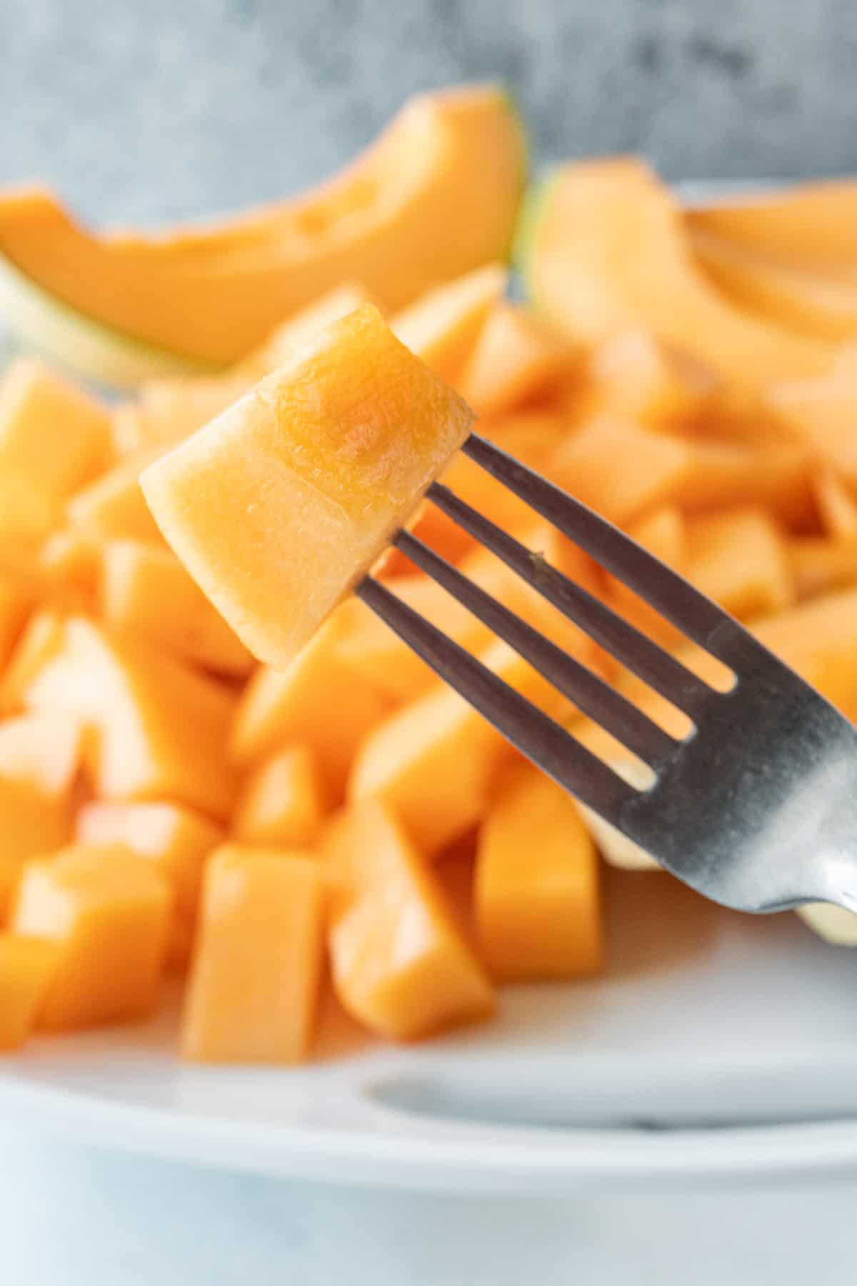 piece of cantaloupe on fork