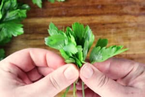 lining up leaves and stems.