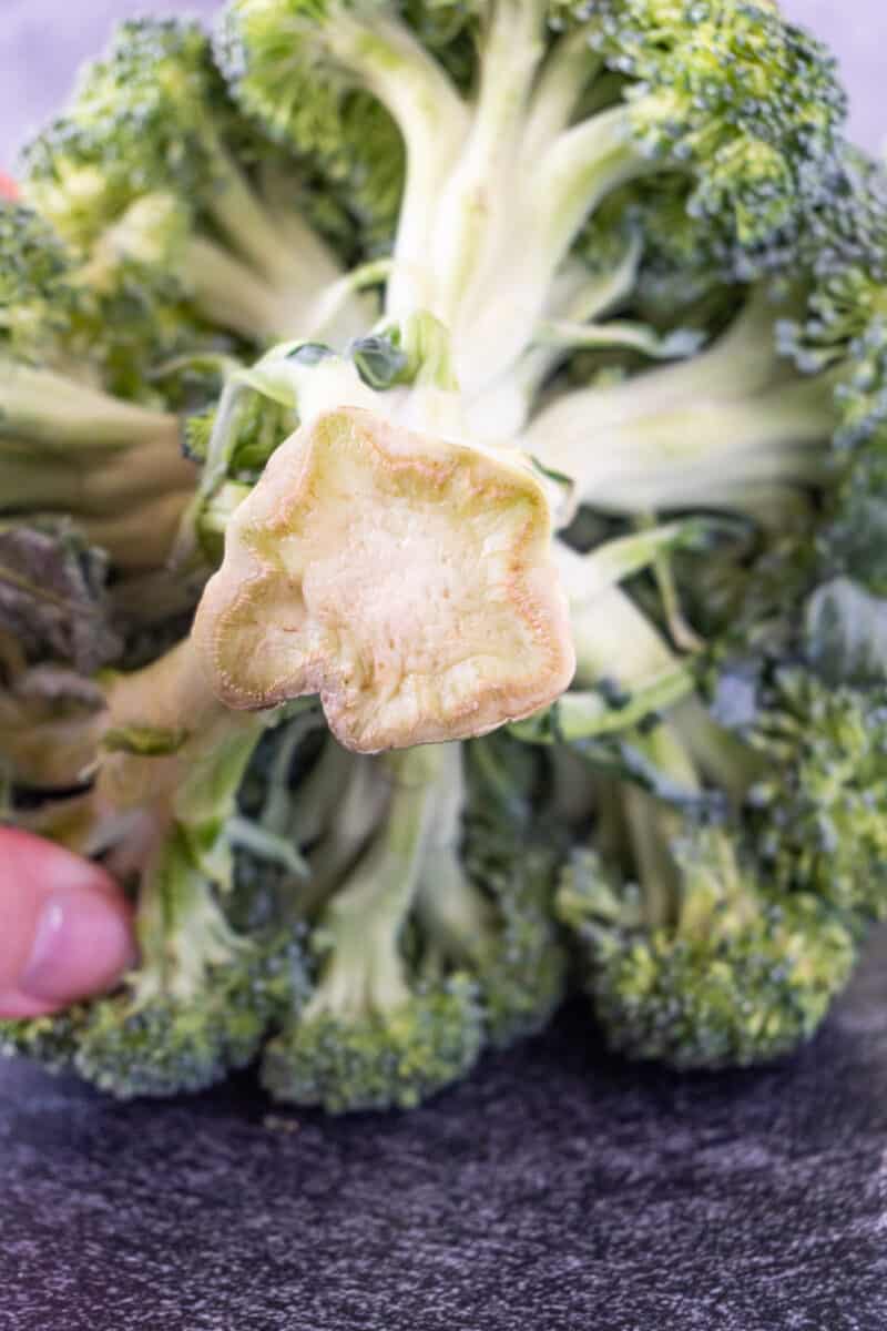 How to Tell if Broccoli is Bad? All the Facts + Example Pictures!