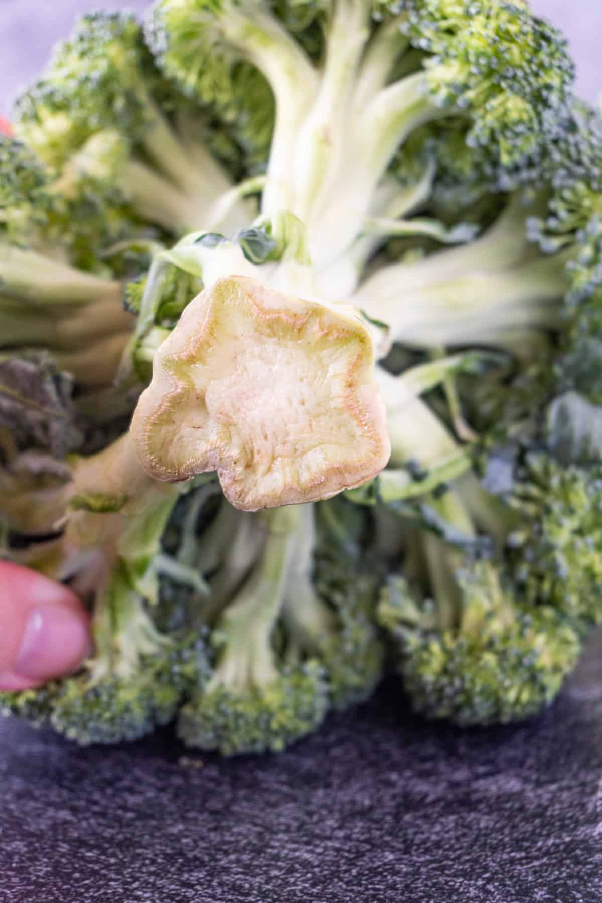 stem of bad head of broccoli