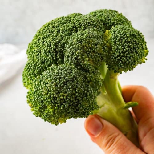How to Tell if Broccoli is Bad? All the Facts + Example Pictures!