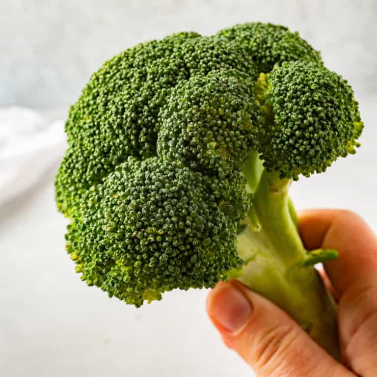 How to Tell if Broccoli is Bad? All the Facts + Example Pictures!