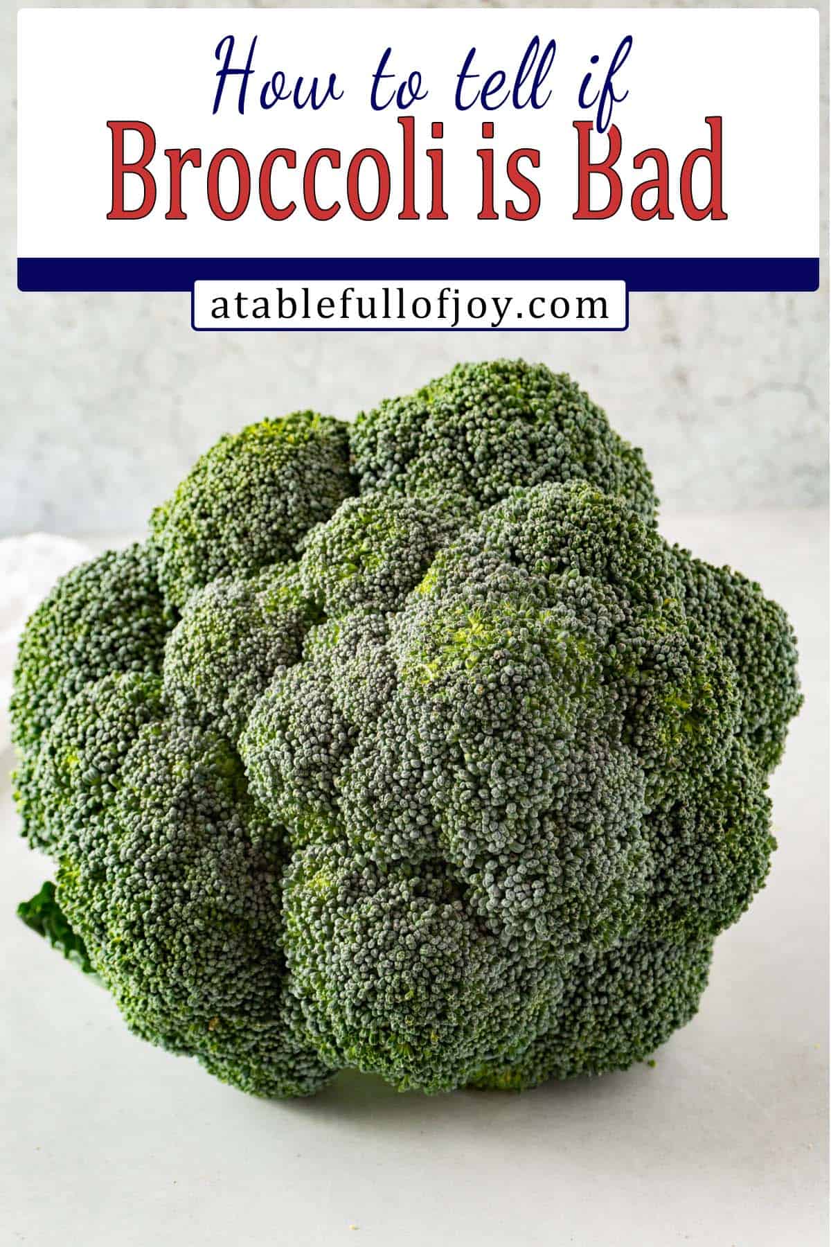how to tell if broccoli is bad Pinterest pin