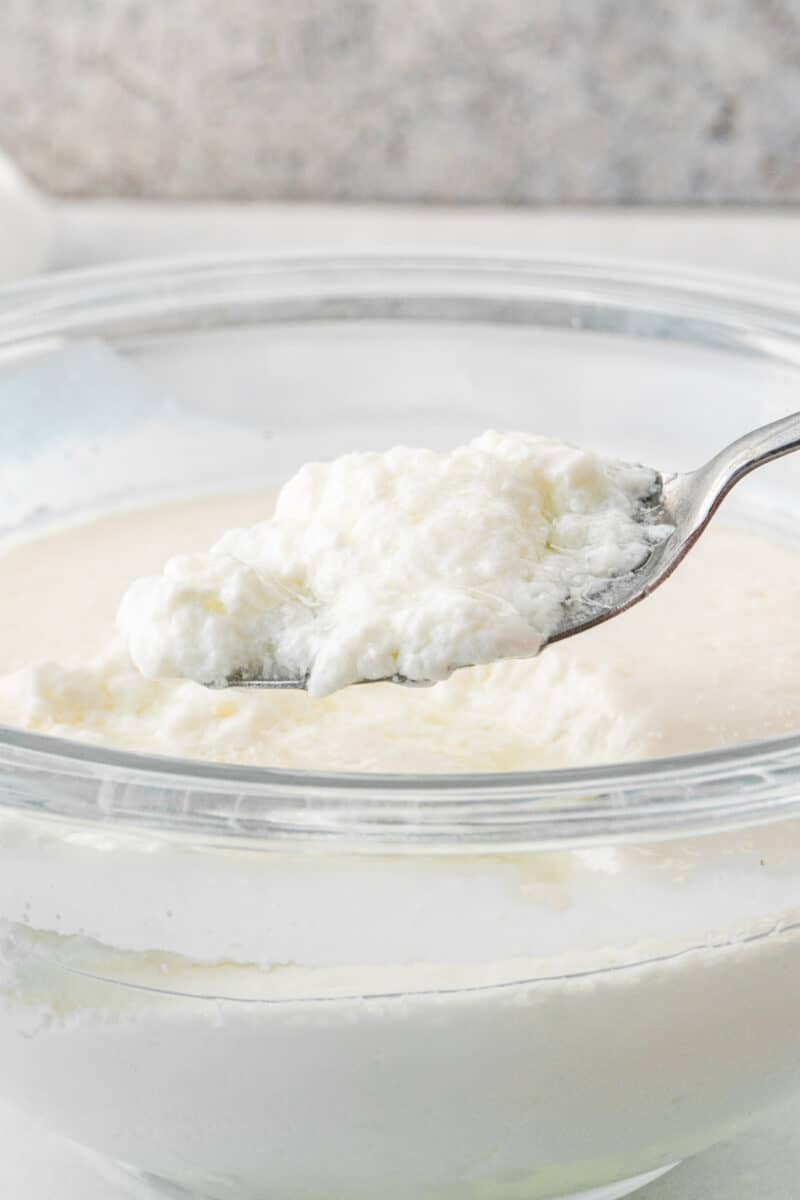 How to tell if Buttermilk is Bad + pics of good vs bad!