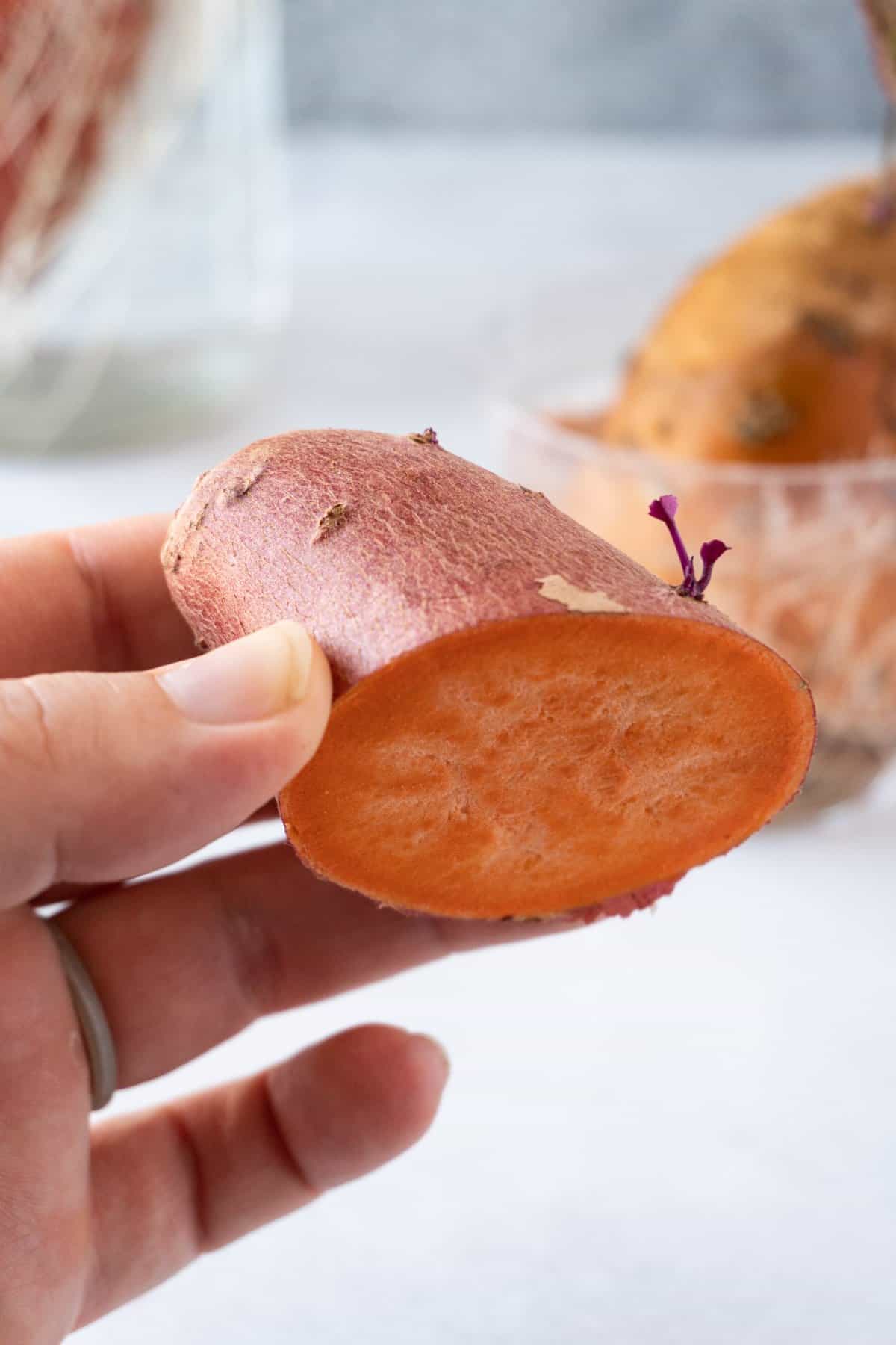 How to tell if a Sweet Potato is Bad? All the signs + picture