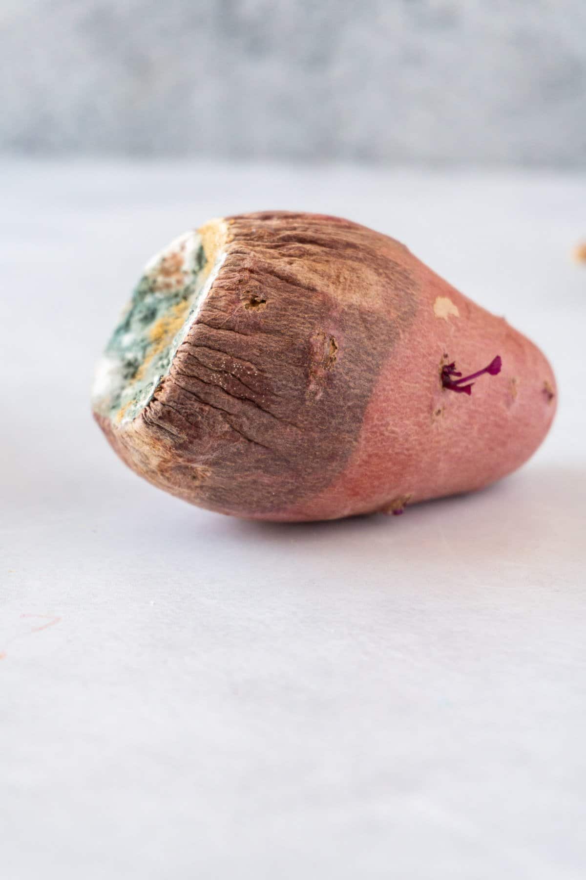 How to tell if a Sweet Potato is Bad? All the signs + picture