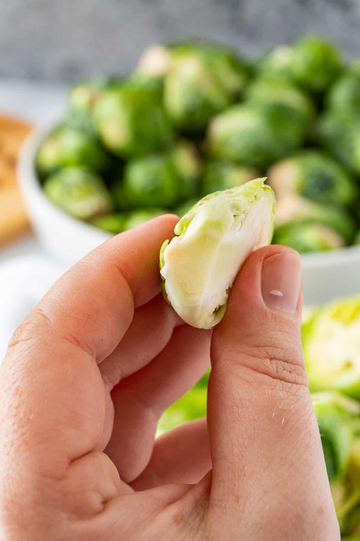 fresh cut stem of brussel sprout