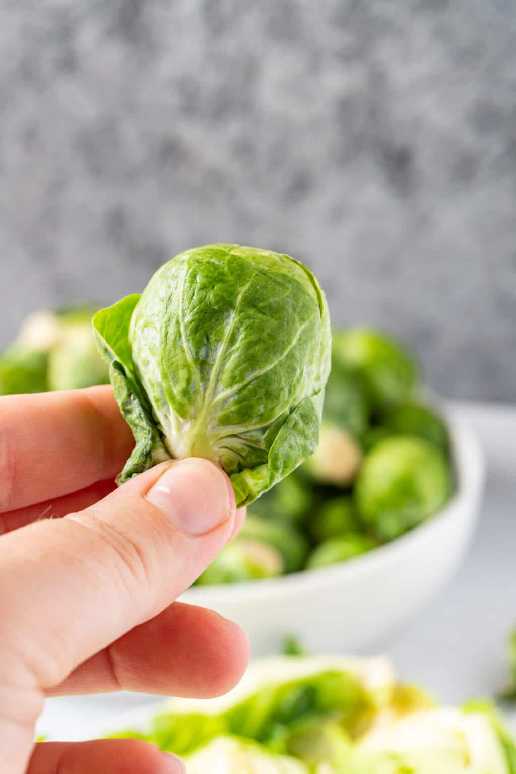 How to tell if Brussel Sprouts are bad? Example Pics & All the Tips!