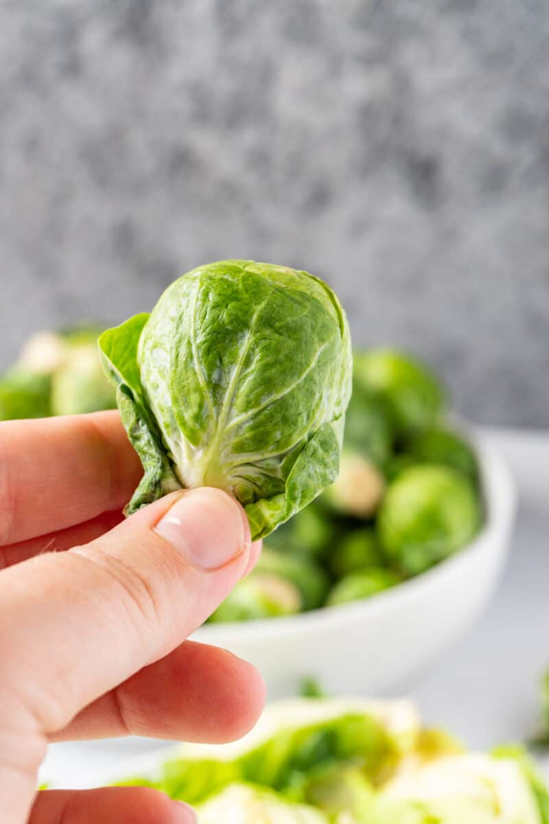 How to tell if Brussel Sprouts are bad? Example Pics & All the Tips!