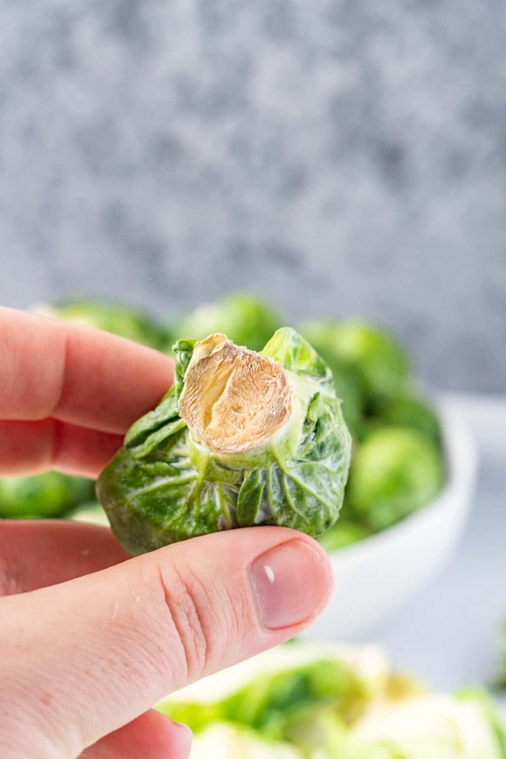 How to tell if Brussel Sprouts are bad? Example Pics & All the Tips!