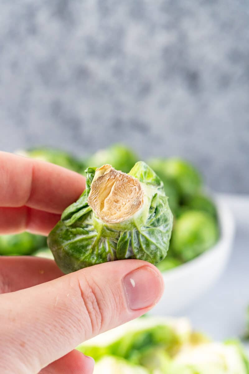 How to tell if Brussel Sprouts are bad? Example Pics & All the Tips!