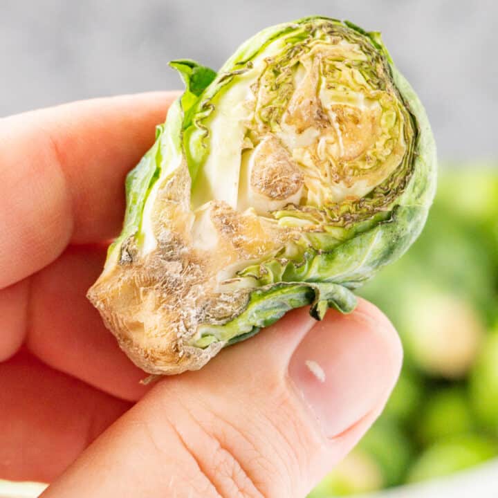 How to tell if Brussel Sprouts are bad? Example Pics & All the Tips!