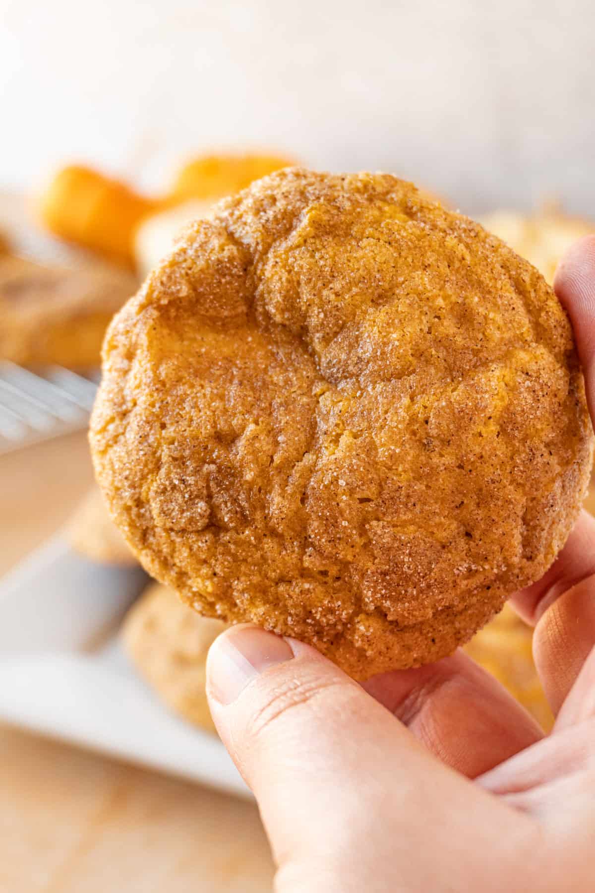 holding a pumpkin cheesecake cookie