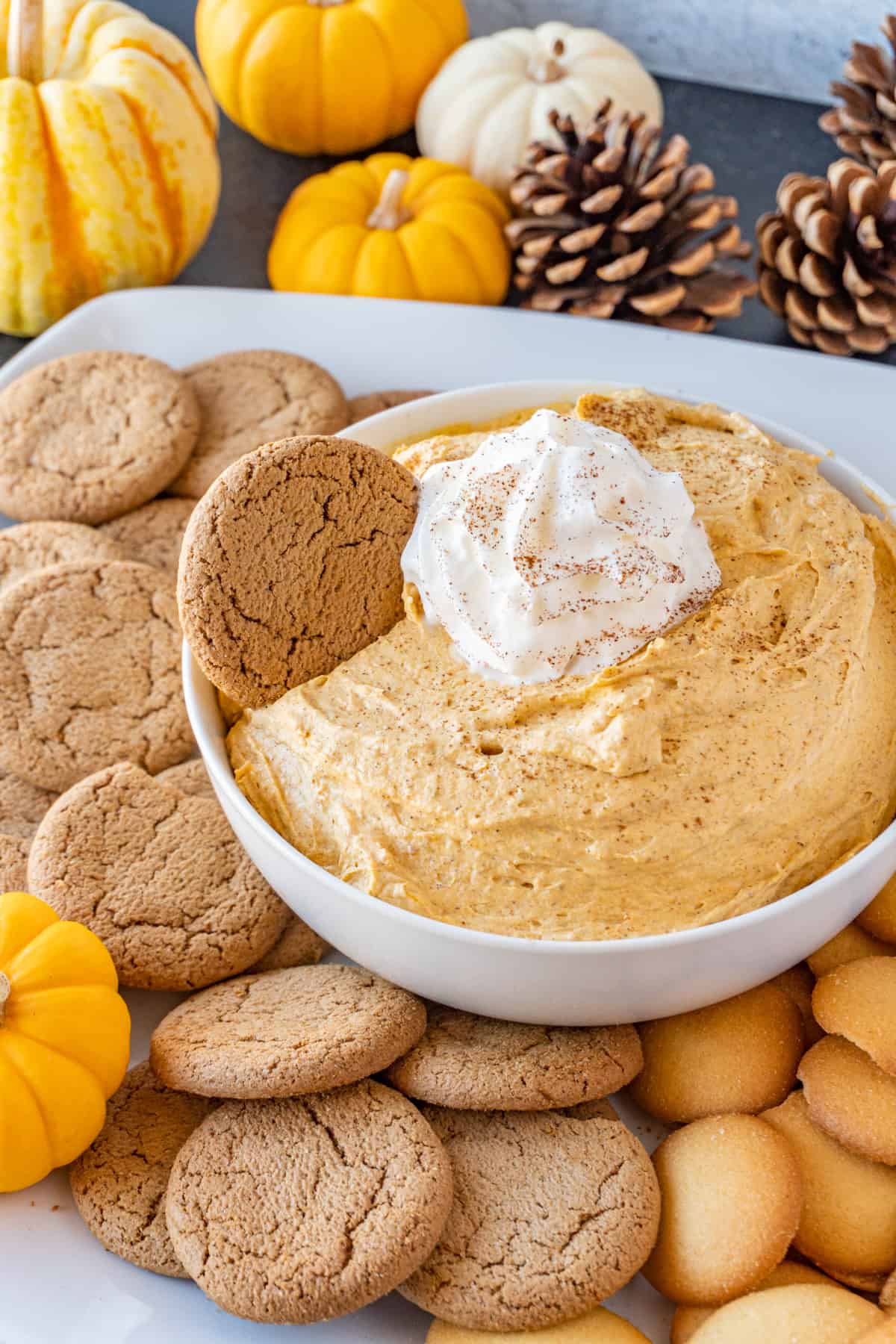 pumpkin fluff in bowl with cookie in dip