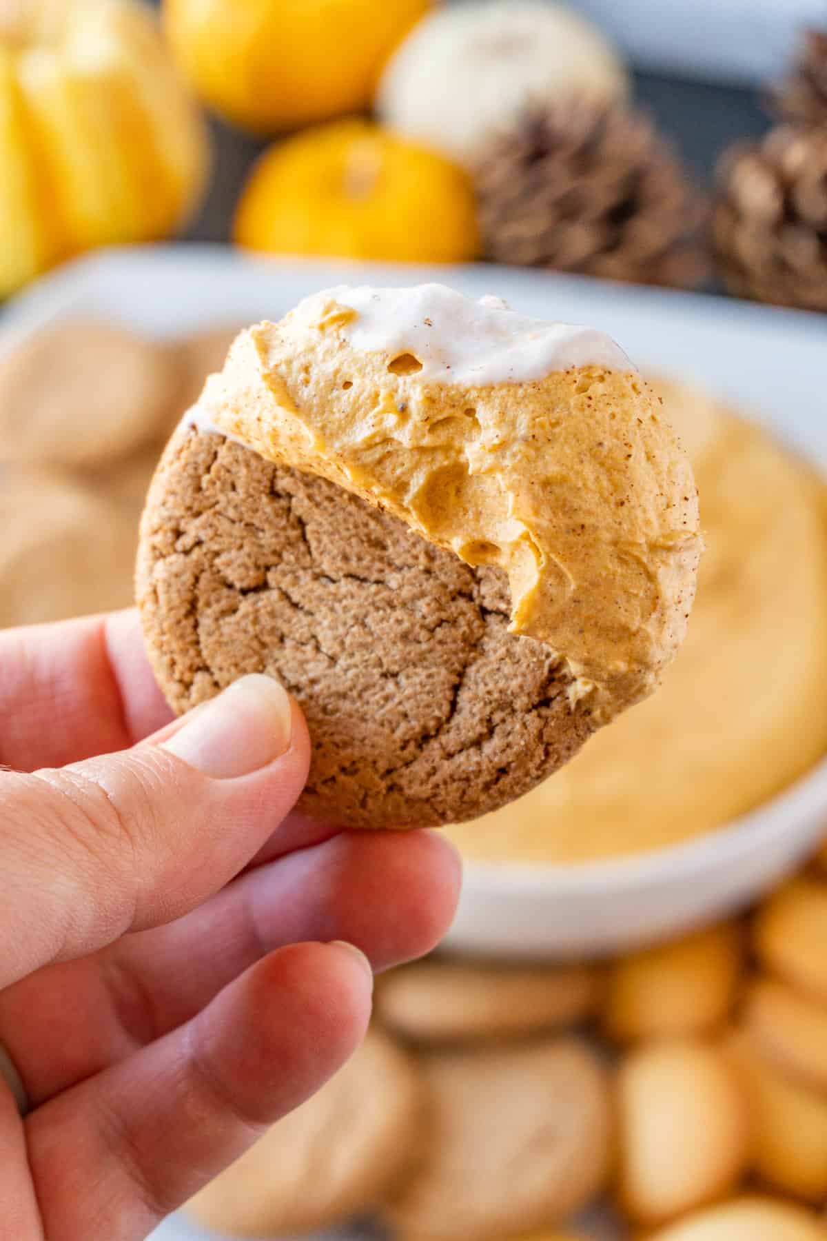 pumpkin fluff on gingersnap cookie