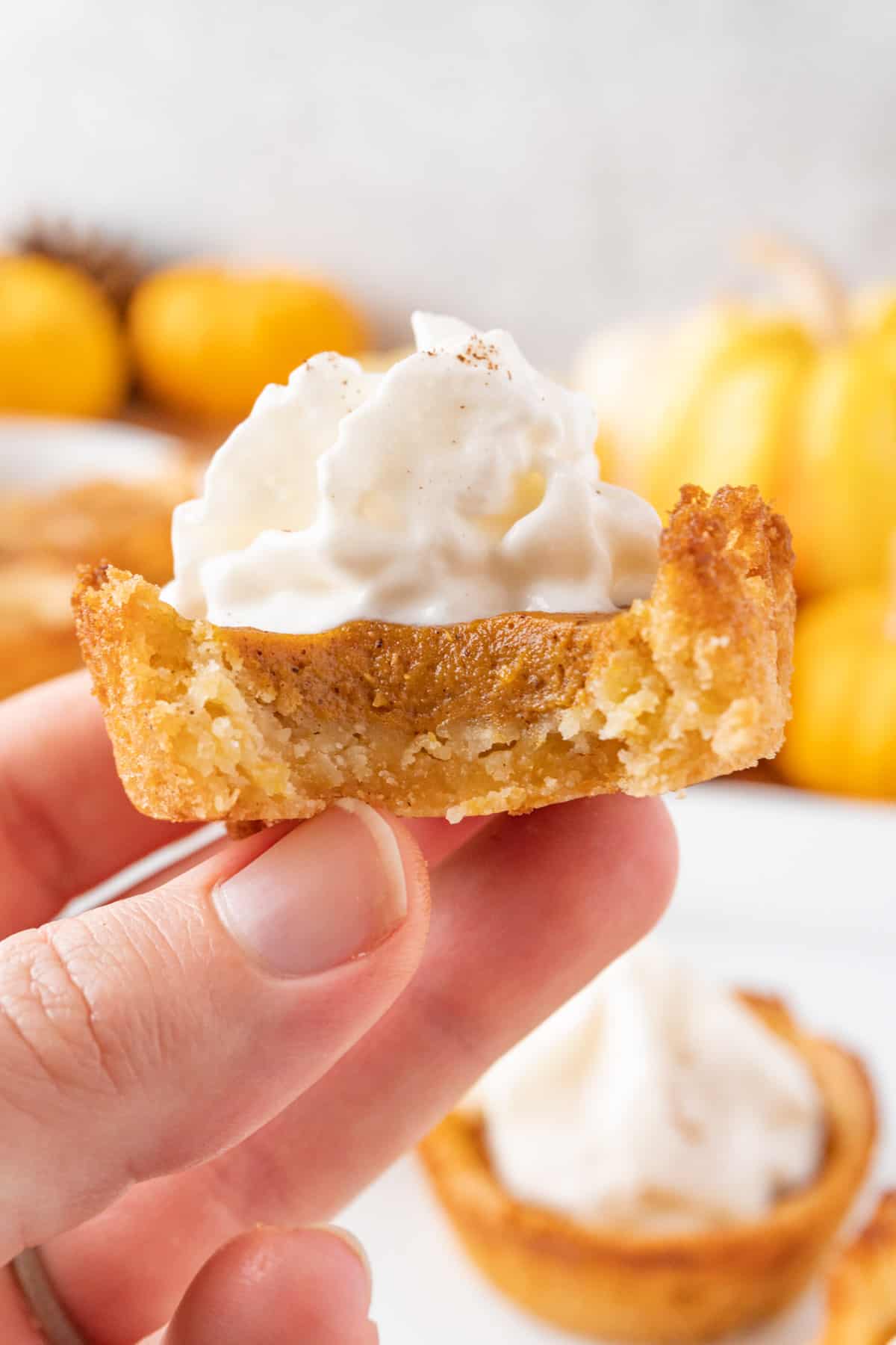 Pumpkin Pie Cookie with bite take out