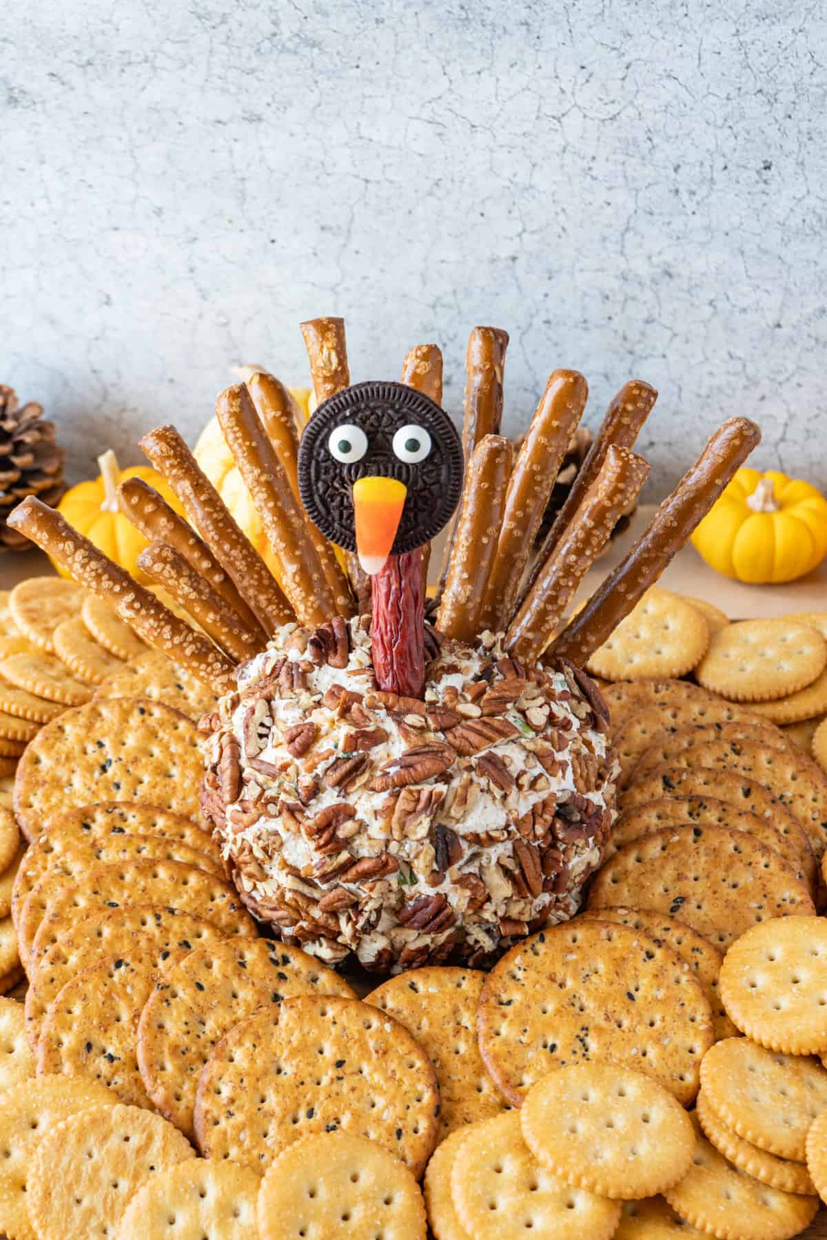 Turkey Cheese Ball surrounded by crackers