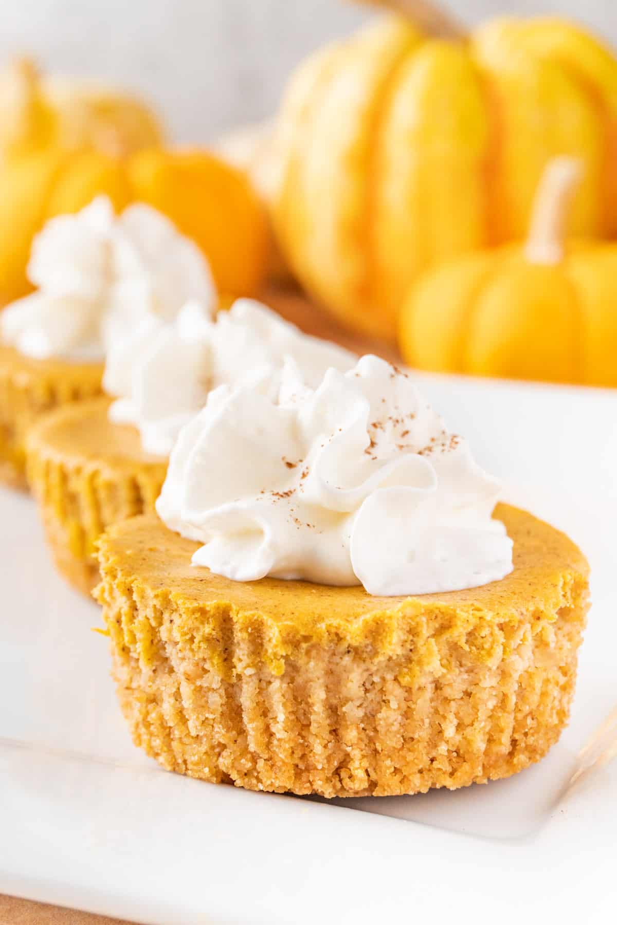 close up of Mini Pumpkin Cheesecake