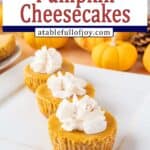 Mini Pumpkin Cheesecakes pin terest pin
