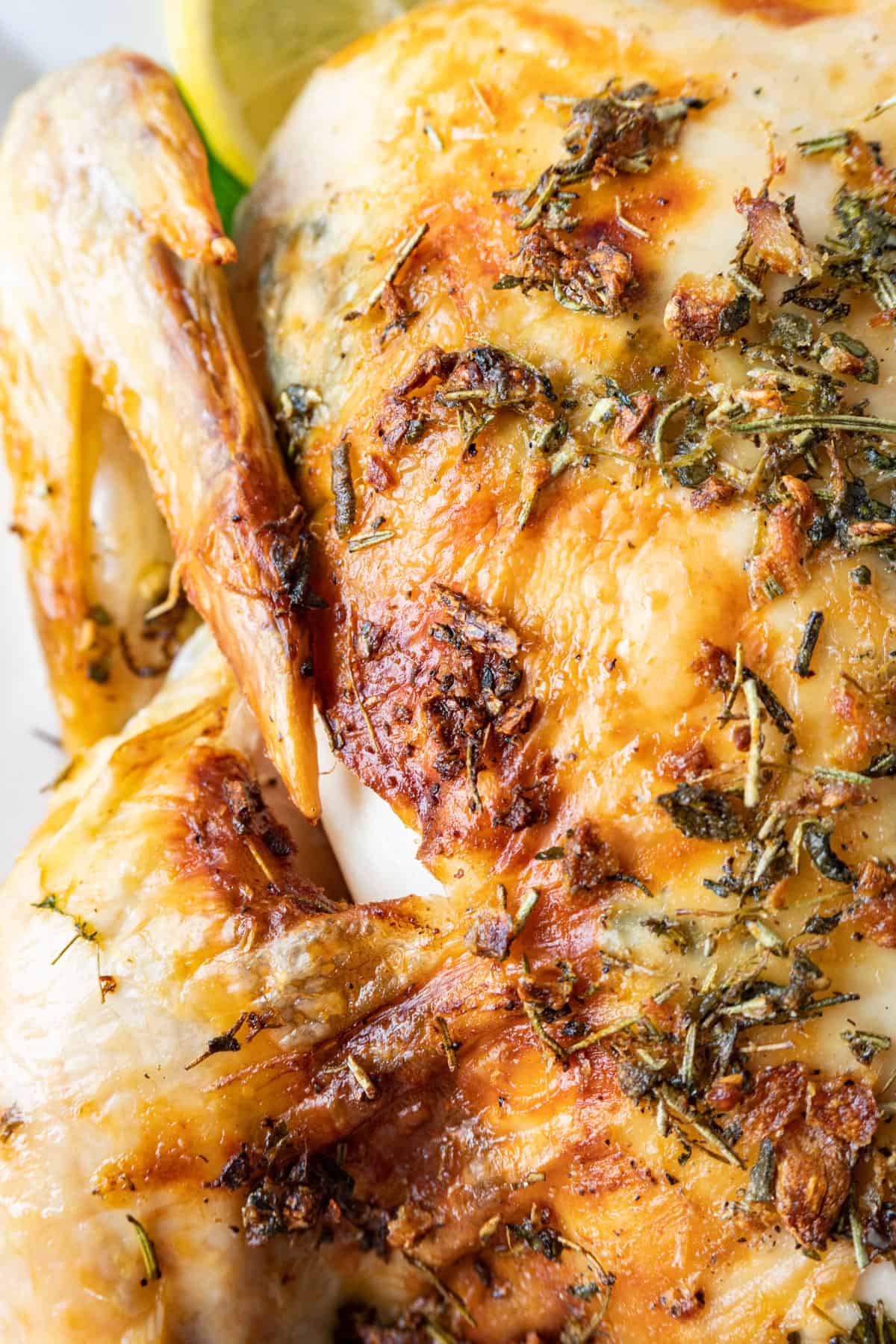 Thanksgiving Chicken Recipe close up of chicken