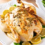 Thanksgiving Chicken Recipe feauted image