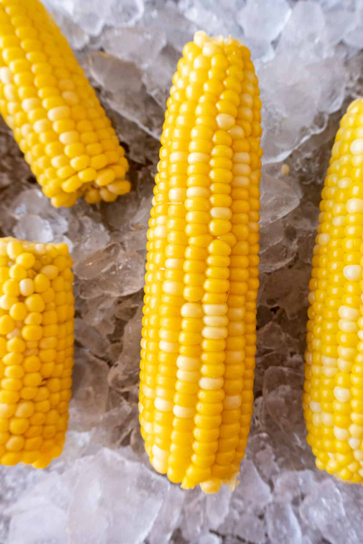 corn on the cob on ice close up