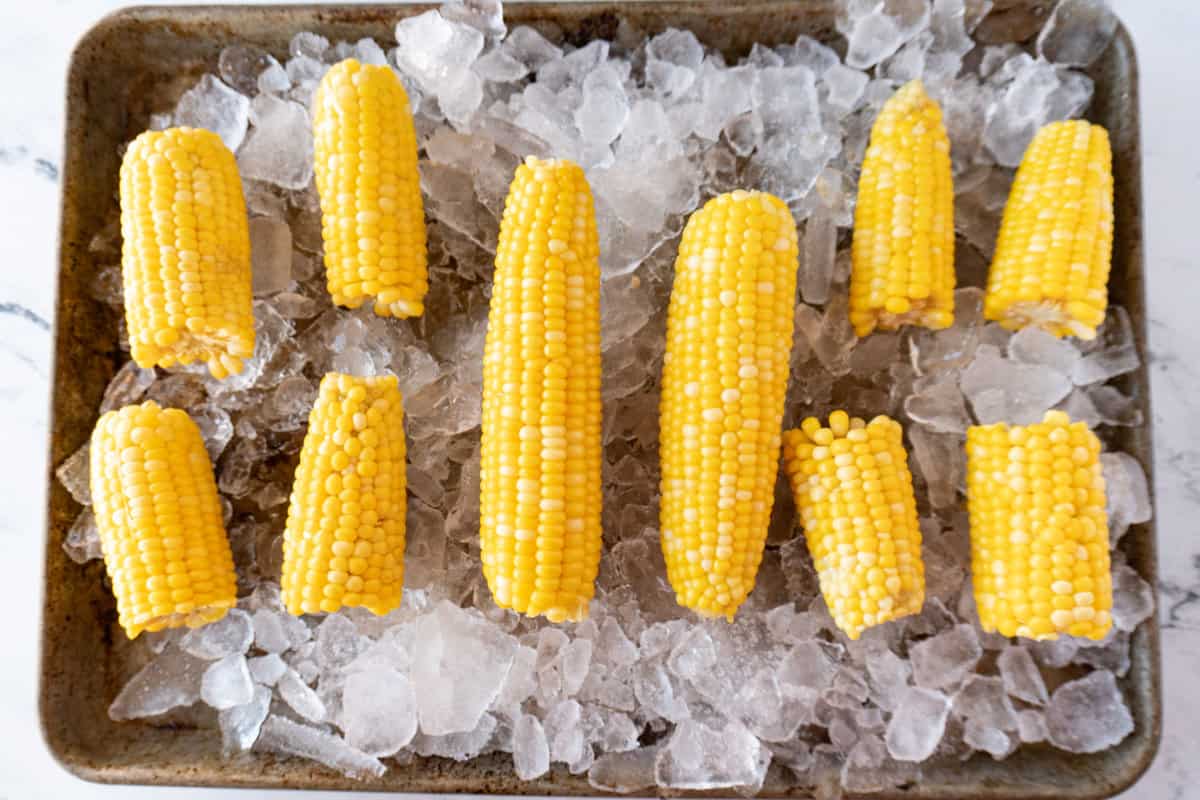 corn on the cob on ice