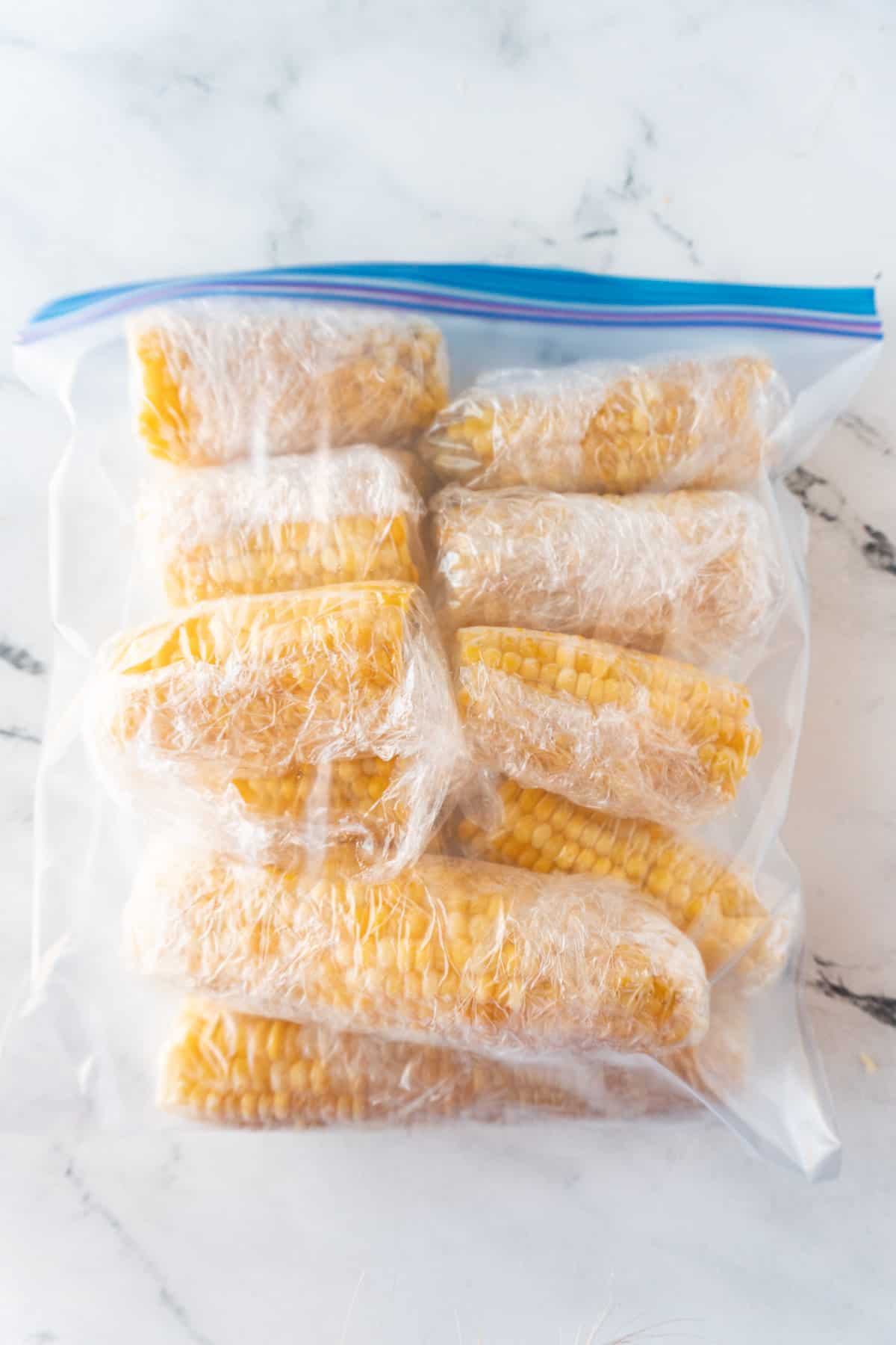 corn on cob in freezer bag close up