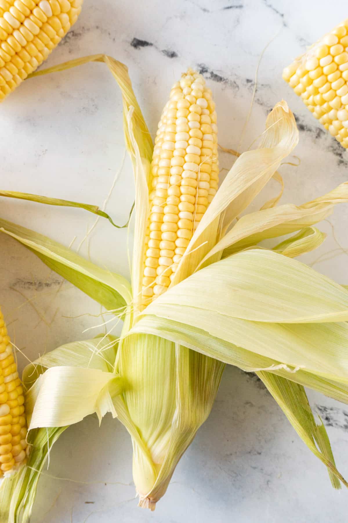 corn with husk still attached