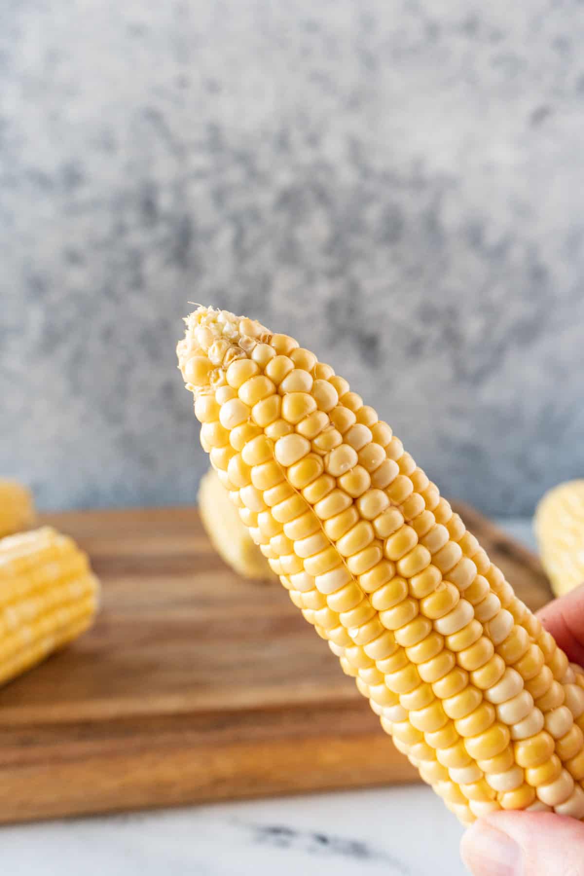 corn on the cob showing top where kernels are missing