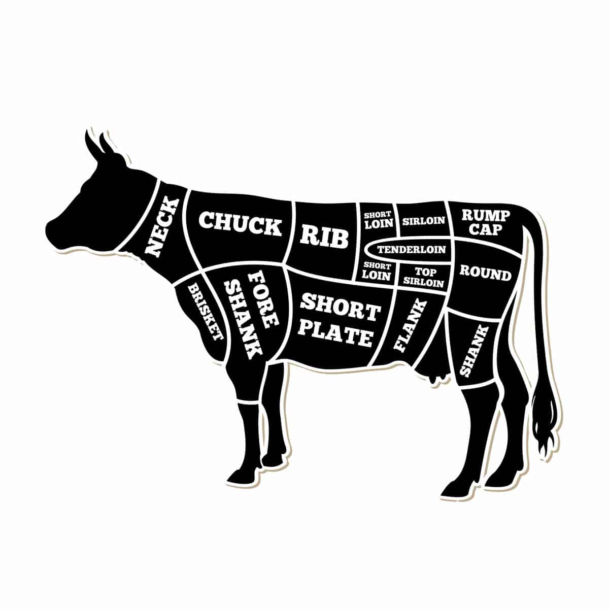 diagram of cuts in a cow