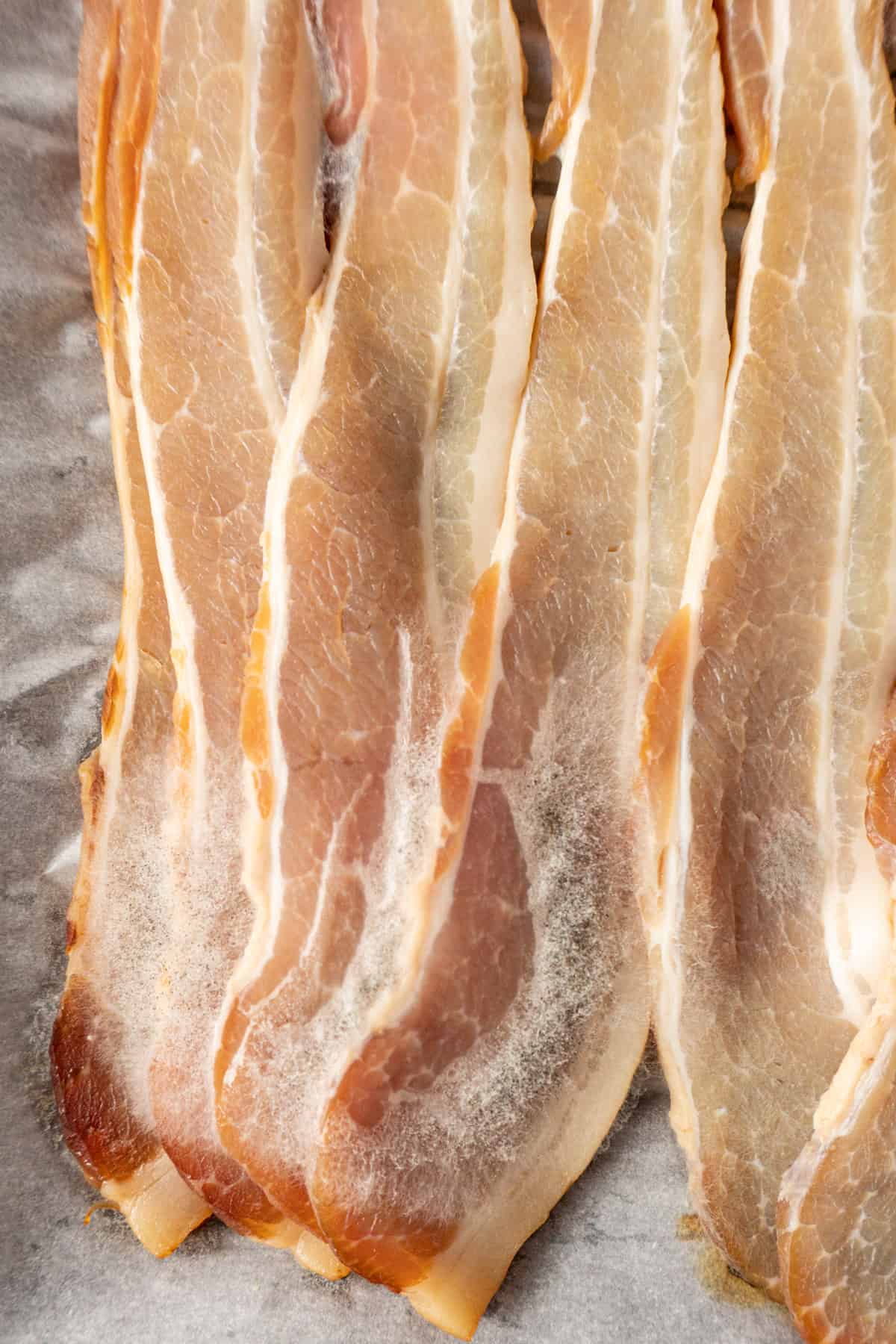 moldy discolored bacon strips