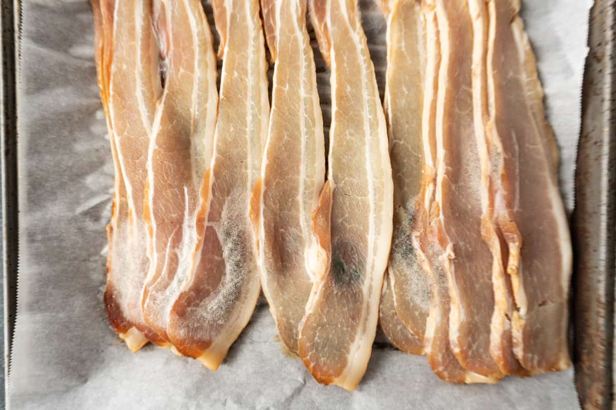 moldy bacon on baking sheet