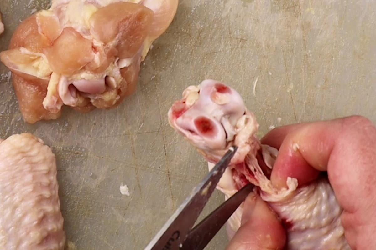 close up of snipping the meat from the base of a drumstick