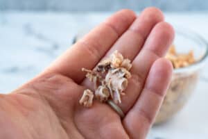 bones removed from canned salmon