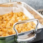 baked scallops in roasting pan