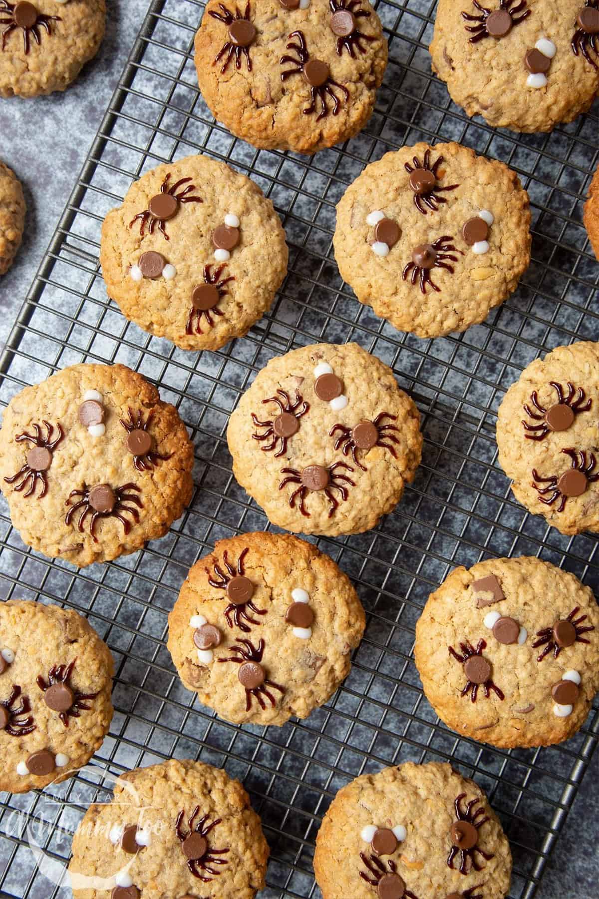 spider cookies with chocolate chips on cooling wrack